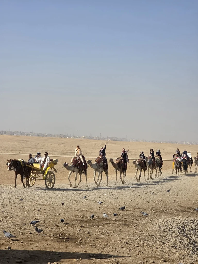 WhatsApp Image 2026-01-22 at 11.56.25 AM